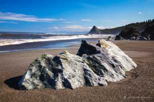 The Redwood Coast-7150 The Redwood Coast-7150